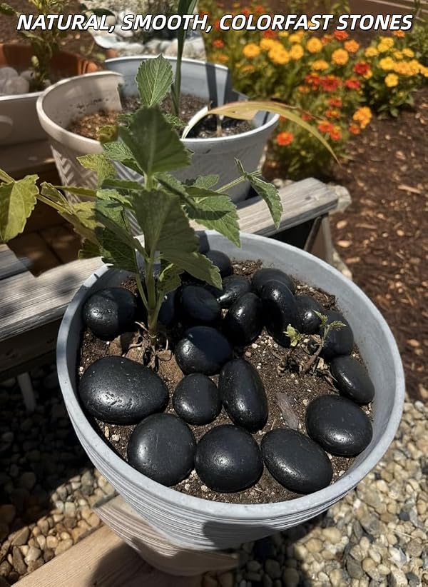 BIOMAND 18lb Black River Rocks for Plants, 1-3 Inch Pebbles for Indoor Plants, Polished Garden Rocks Outdoor Landscaping, Decorative Stones for Vases, Succulents, Aquarium, Walkways by BIOMAND - Image 4