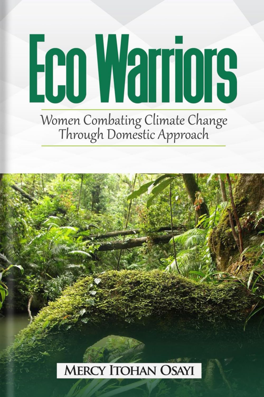 Eco Warriors: Women Combating Climate Change Through Domestic Approach