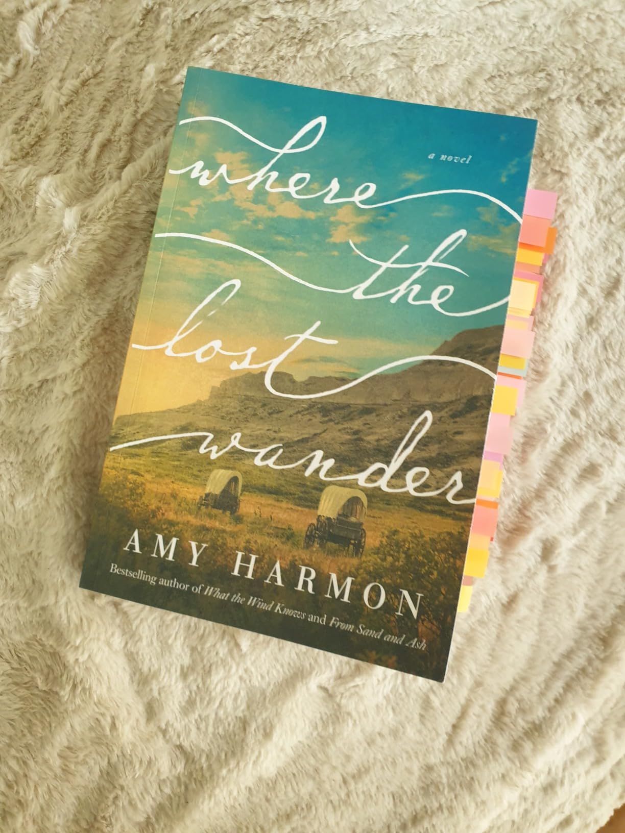 Where the Lost Wander A Novel eBook Harmon, Amy