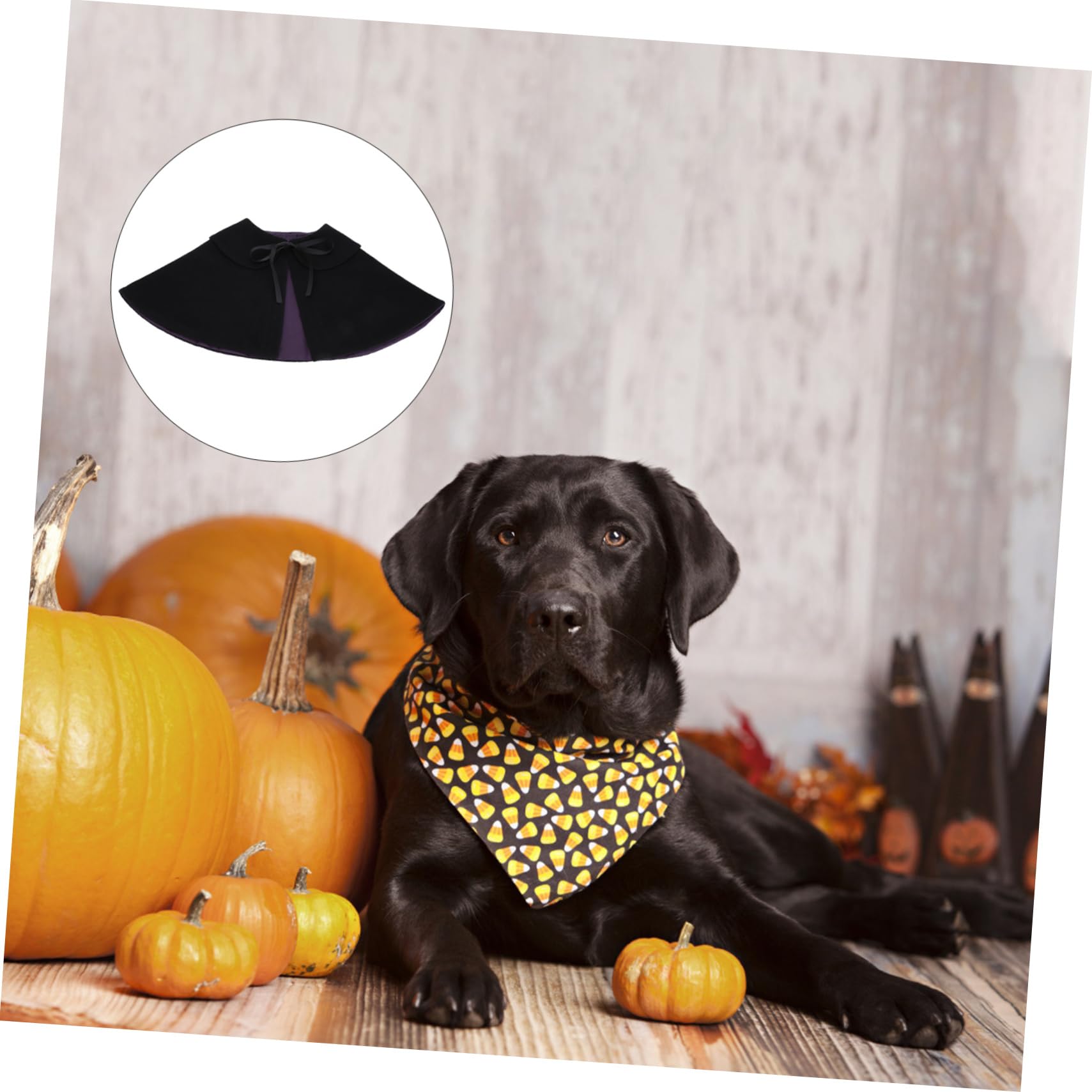 INOOMP 3pezzi Cloak Per Cani e Gatti Neri Per Halloween Leggero e Facile Da Indossare Costume Festivo Per Animali Domestici Decorazione Per Feste e Eventi