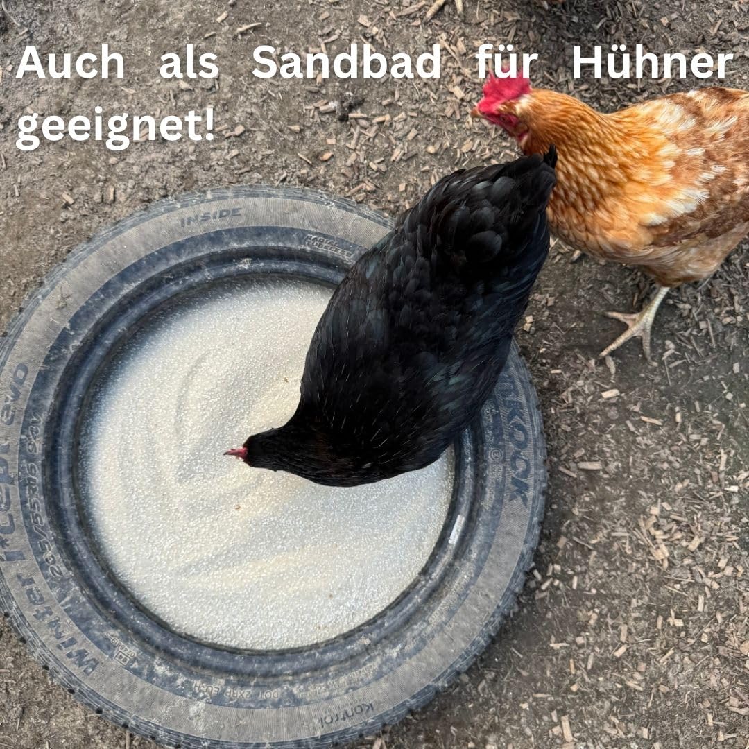 Vogelsand mit Kalk & Anis 25 kg – Badesand für Kanarienvögel, Wellensittiche, Papagein & Hühner - natürliches, geruchsbindendes Einstreu, mit Muschelgrit zur Schnabel- & Krallenpflege