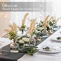 Vista 2 de Glasseam Jarrones pequeños de cristal mini jarrón transparente a granel juego de 12 jarrones minimalistas para centros de mesa, jarrones decorativos