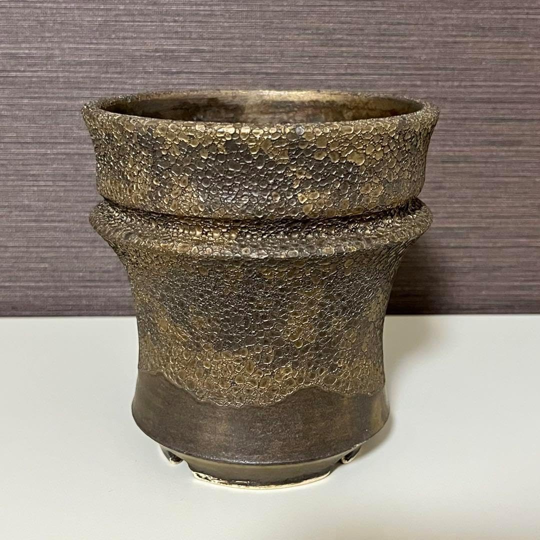 RAFLUM POT LAB. 陶器鉢 アガベ 塊根 新品 RAFLUM POT LAB. 陶器鉢 アガベ 塊根