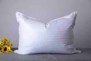 アウトドア寝具 WINDY AND RAINY Down Blanket and Pillow WINDY