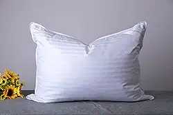 Queen Size – Travesseiros para cama de penas de ganso, coleção de hotel para dormir, uma almofada para costas, estômago ou para pessoas que dormem de lado, listrada, cor branca