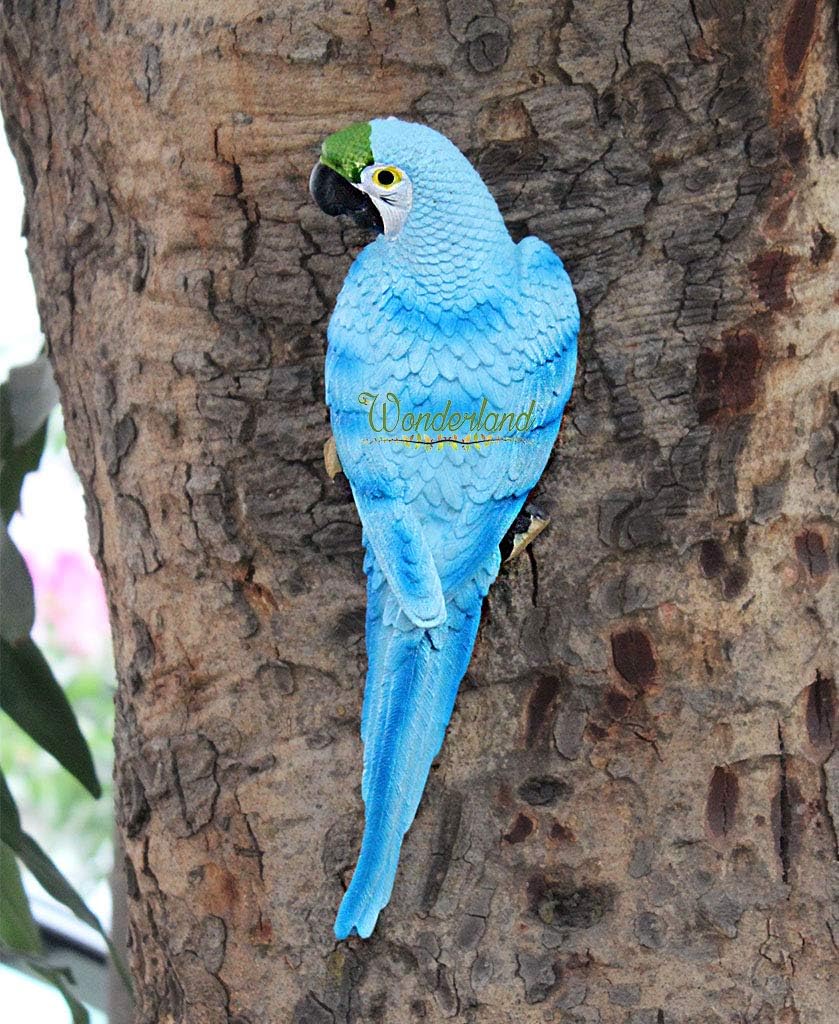 Wonderland Red Parrot for Wall Decor,Decoration, Flat from Behind to be Put on Wall, Made of Resin, Garden Home Decor Decoration, Gift, Gifting