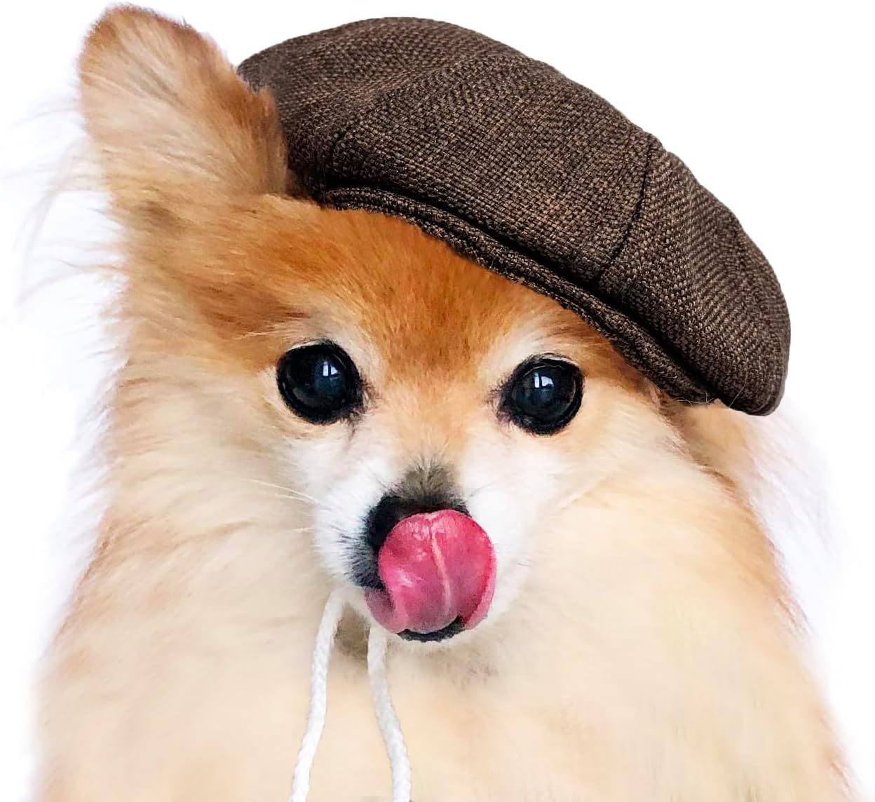 Handmade dog newsboy cap Beret for cats Flat caps for small dogs puppies (Small, Black Glen Check)
