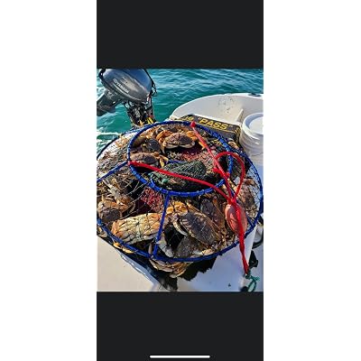 ubuy UAE