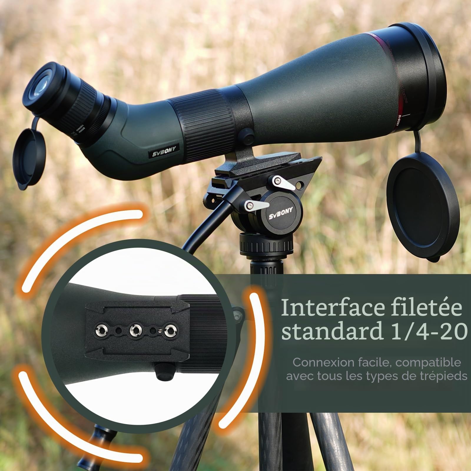 Svbony SA401 APO Longue Vue, 25-75X100 Apochromatique Objectif Double ED FMC, Digiscoping Compatible avec la Caméra WiFi SC001, IPX7 Imperméable pour Observation des Oiseaux, Le tir à la Cible Paysage