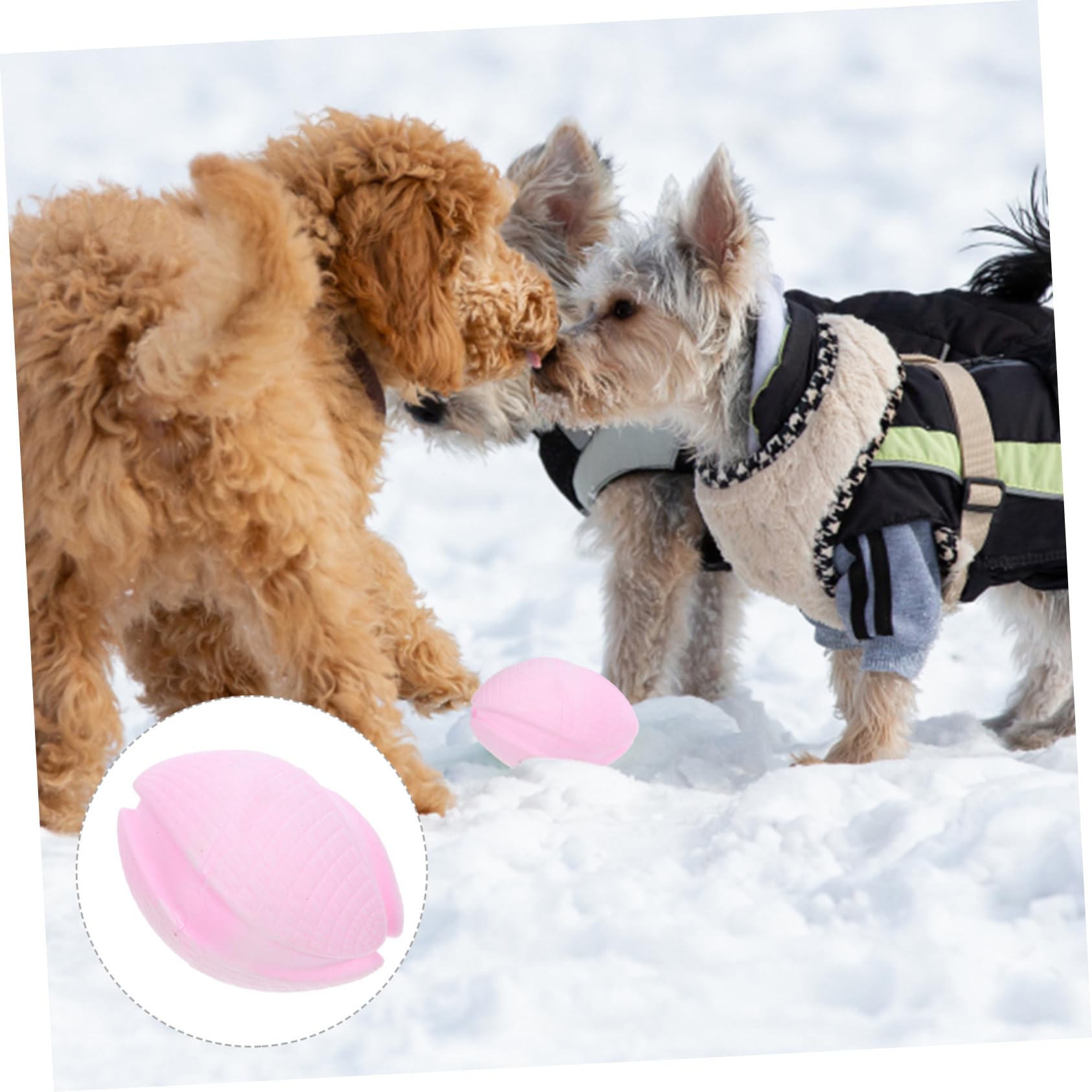 Toddmomy 5pièces Jouet à Mâcher pour Chiot Flottant Accessoire De Dentition Pratique pour Chiens pour Jeu Prévention des Dégâts Maison
