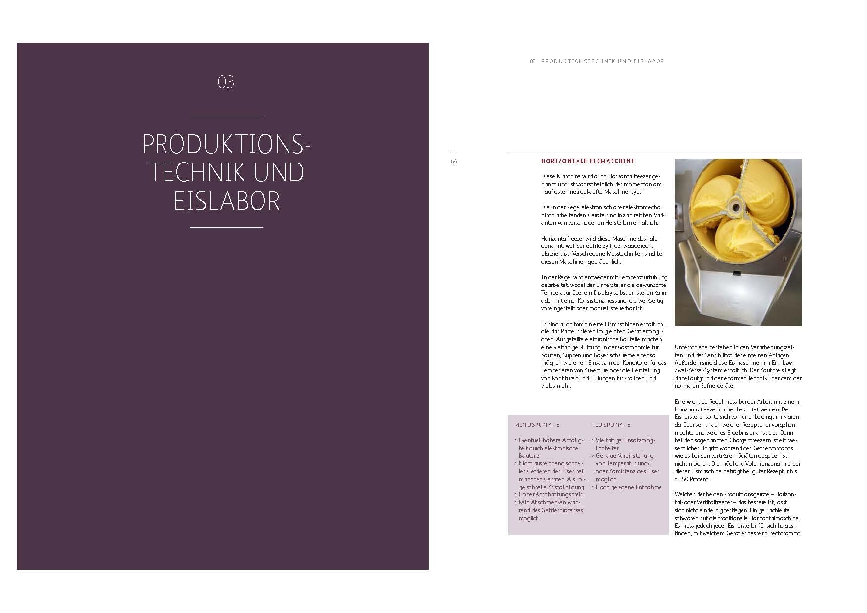 Eismanufaktur: Basics, Rezepturen, Marketing