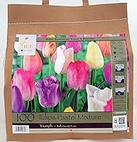 Vista 1 de 100 bulbos de tulipán de mezcla pastel - Tulipa Triumph Leído para la primavera.