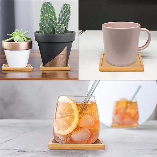 Miniatura 6 de Cosmos 4 piezas de platillo de bambú para suculentas, bandeja de drenaje con borde elevado para macetas pequeñas de 3.5 pulgadas (forma cuadrada)