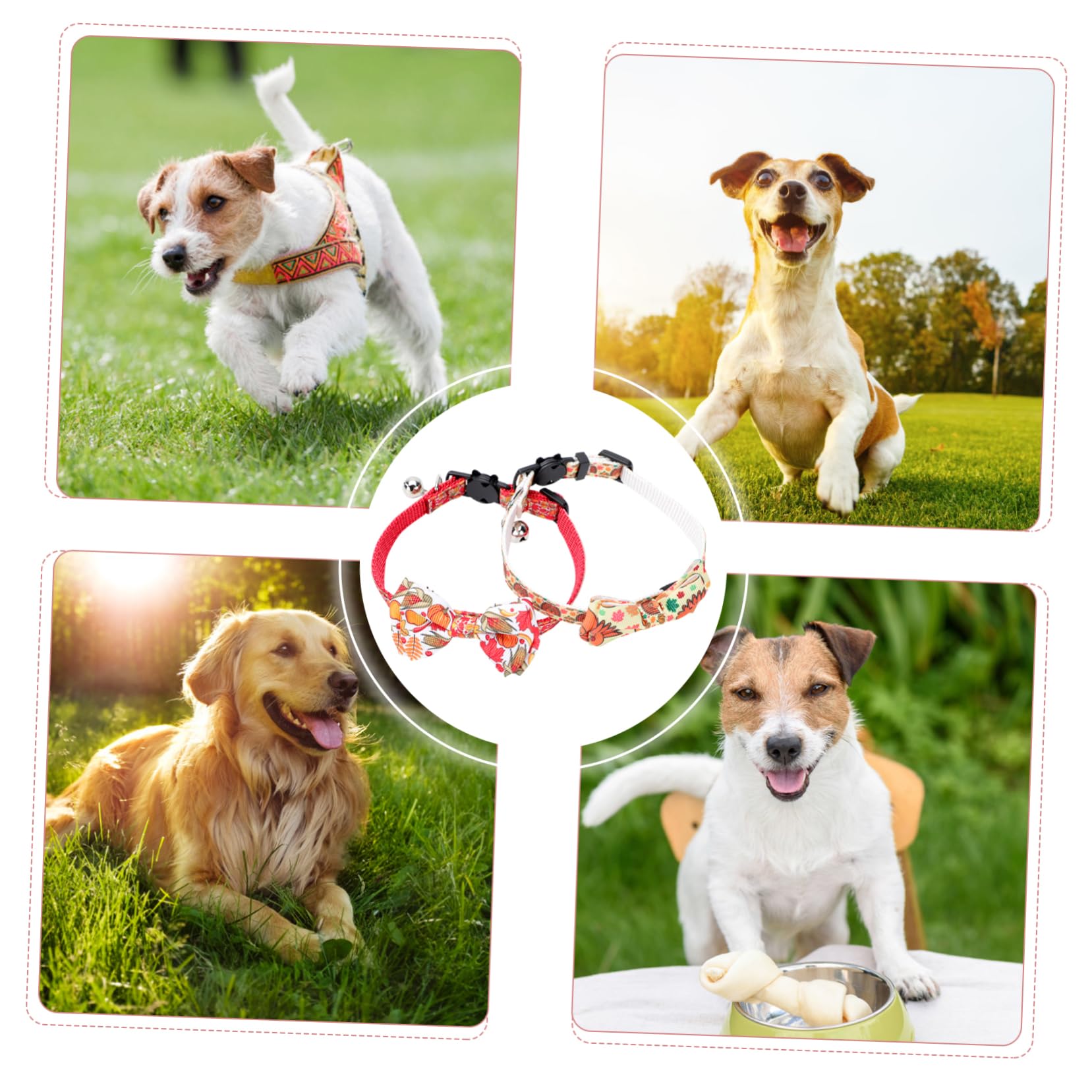 BESPORTBLE 4 Set Di Collari Per Cani E Gatti Per Il Ringraziamento Costumi Per Animali Domestici Collane Accessori Per Animali Domestici Per Feste 32 Cm Vivaci 2 Pezzi * 4
