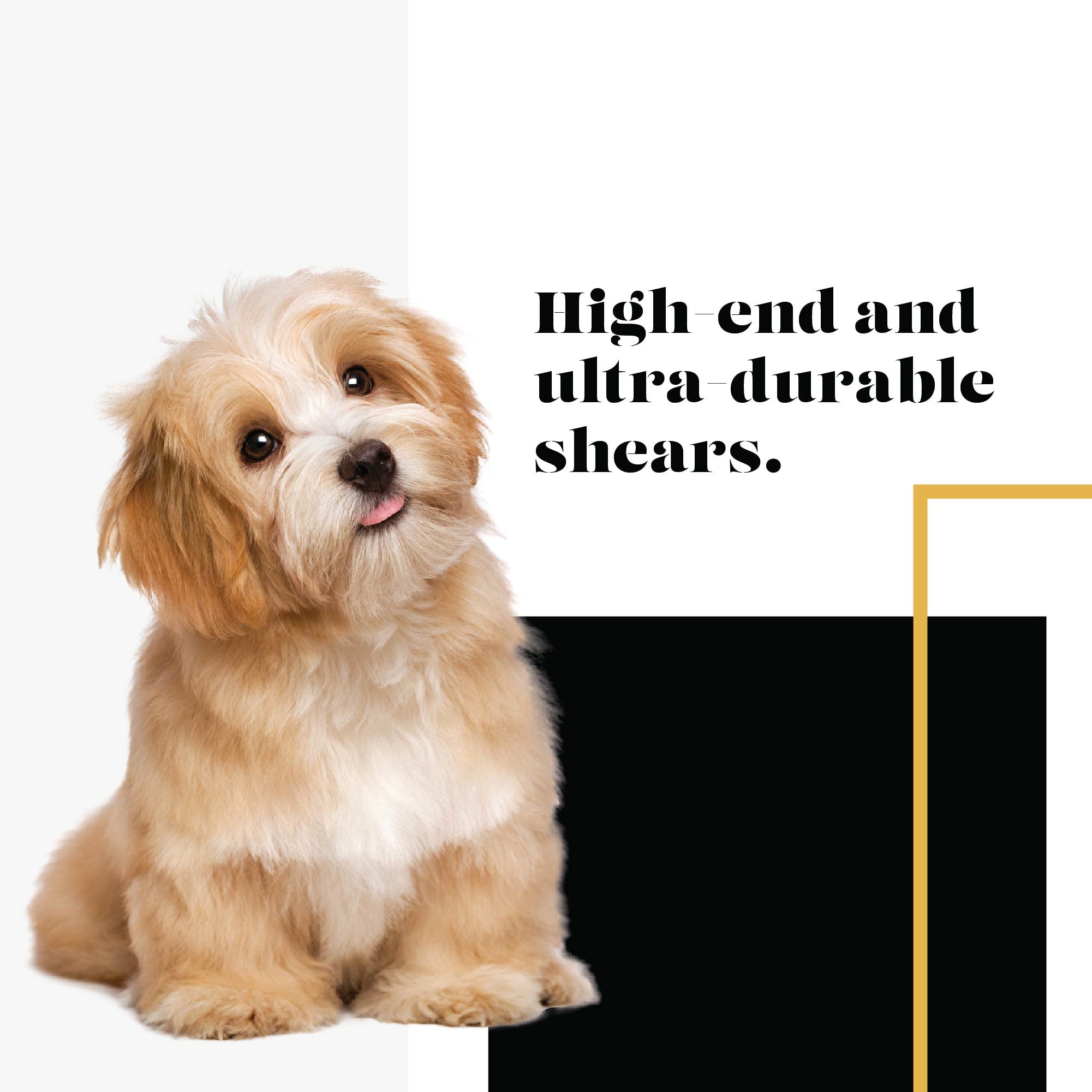 SHARF Gold Touch Tijeras de Peluquería Mascotas Cuchillas Rectas Acero Inoxidable 19 cm