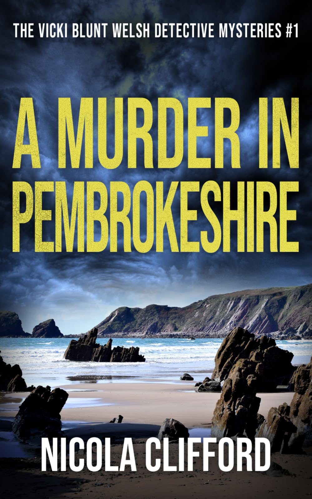A Murder in Pembrokeshire: 1 (The Vicki Blunt Welsh detective mysteries)