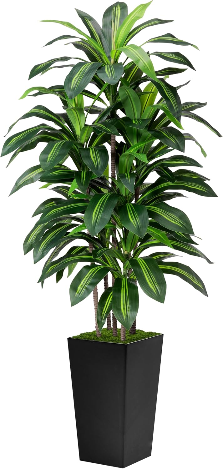Artificial Dracaena Tree 5FT - Fake Tree with Black Tall Planter - Faux Yucca Tall Fake Floor Plant in Pot - Artificial Plant for Home Office Living Room Decor Indoor Black 5ft