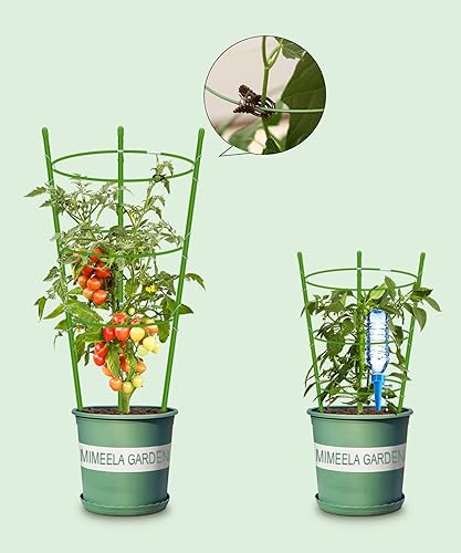 Miniatura 5 de Paquete de 4 jaulas de tomate de soporte para plantas de jardín, enrejado mejorado de 36 pulgadas para plantas trepadoras, kits de enrejado de jaula