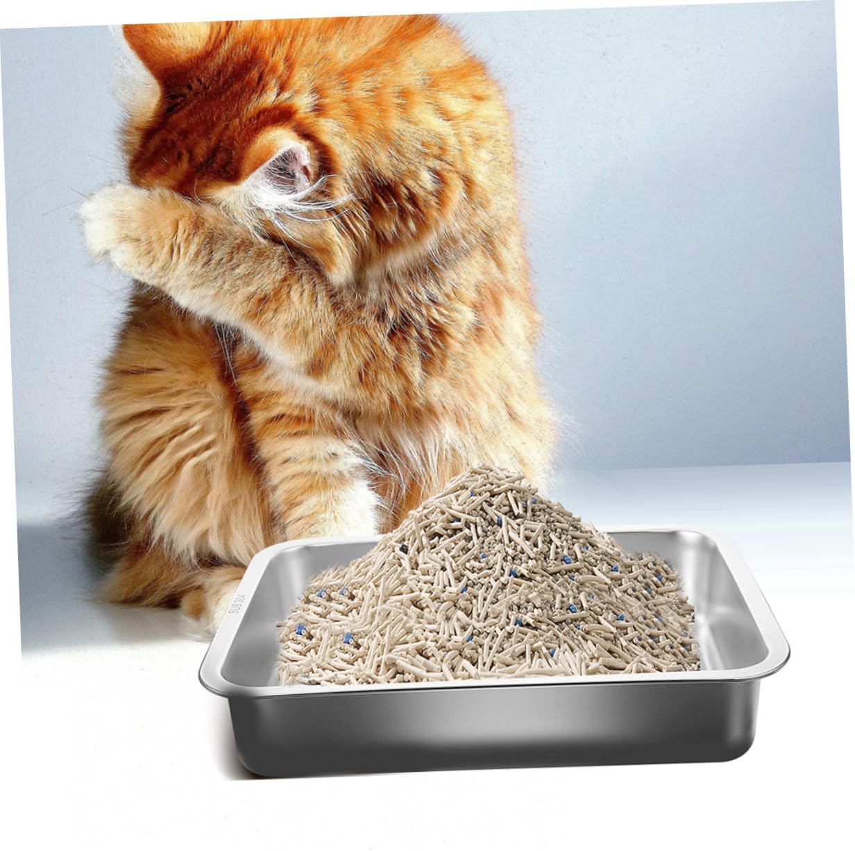 Stainless Steel Cat Litter Box Durable Litter Pan for Kittens Easy to Potty Tray for Small Cats and Small Pets Like Hamsters and Rabbits