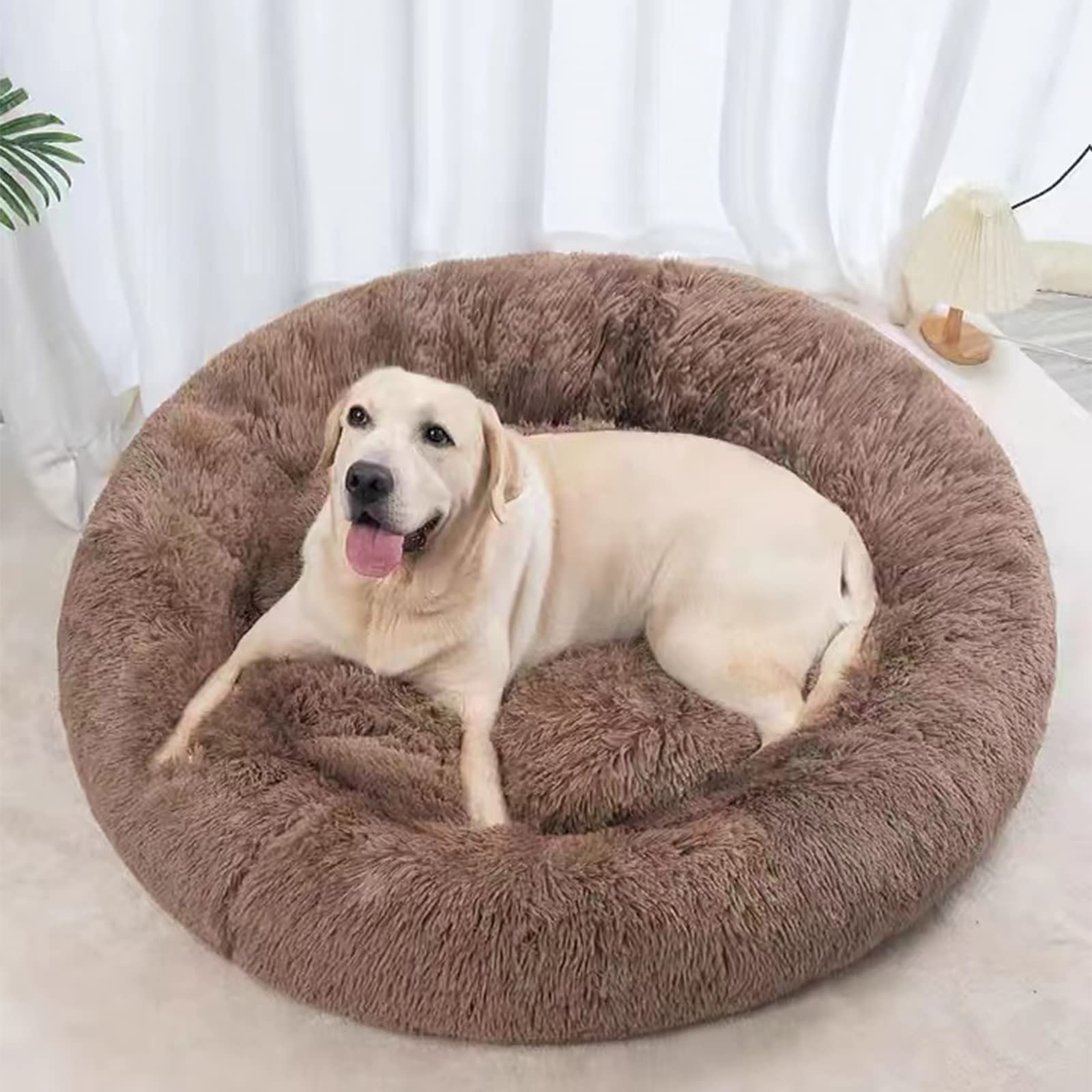 Nisrada Cuccia per gatti da interni, 80 cm, per cani di piccola taglia, lavabile, rotonda, per cuccioli e gattini, con fondo antiscivolo