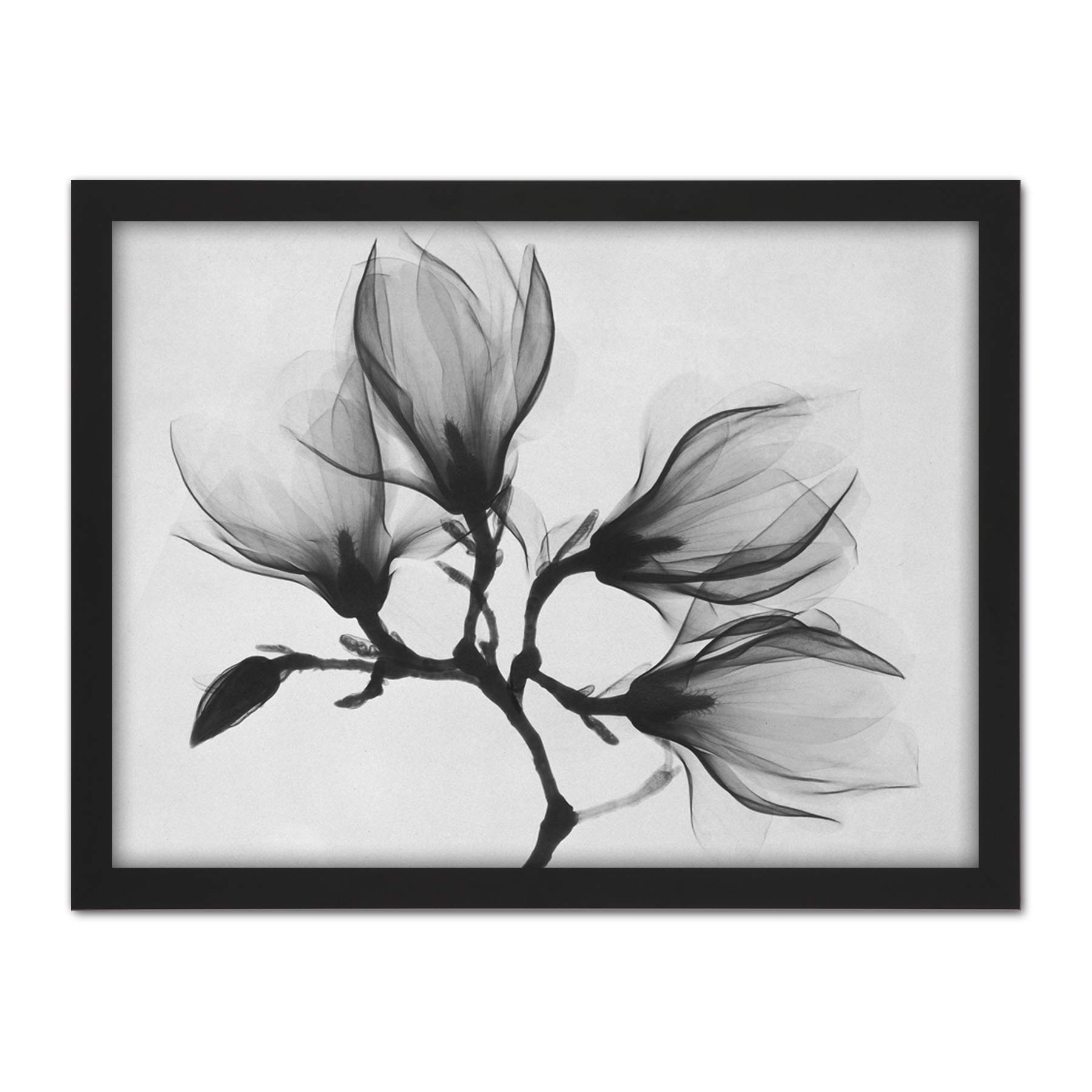 Wee Blue Coo Magnolia Branch Xray Artwork Framed Wall Art Print 18X24 Inch