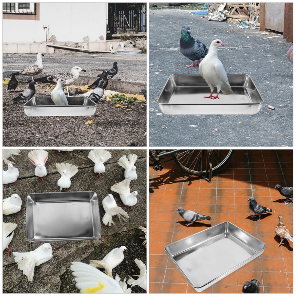 Vasca da Bagno in Acciaio Inox per Piccioni e Pappagalli, Design Profondo Anti-Spruzzo, Dimensioni 35X30 CM, Accessorio per Gabbie di Uccelli Domestici