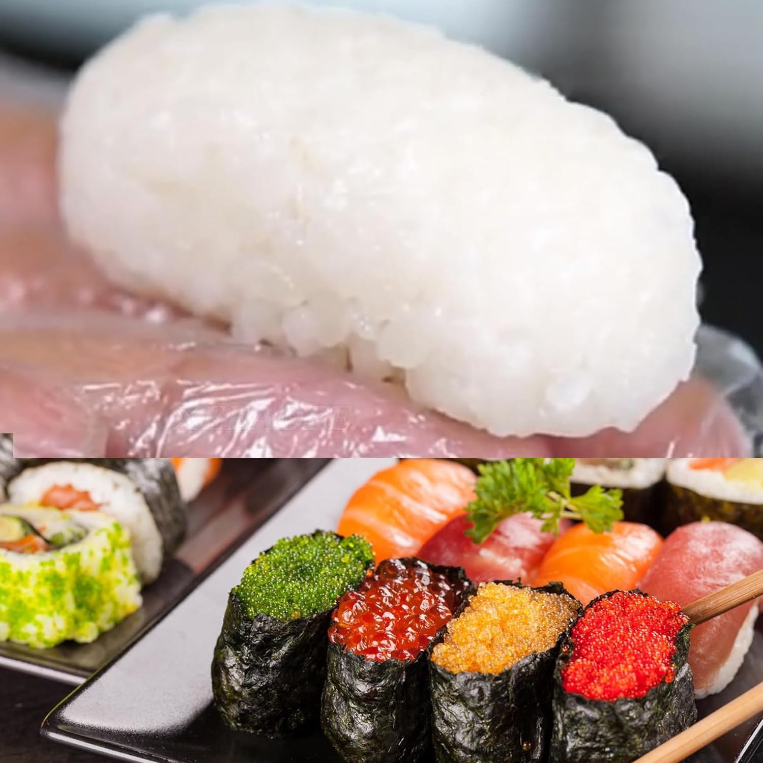 Commercial Automatique Nigiri Maker, Presse à Sushi à densité de Riz réglable avec 5 moules, Traitement par Lots à Grande Vitesse pour Tamago Eel Gunkan Maki, Outil de Cuisine Compact