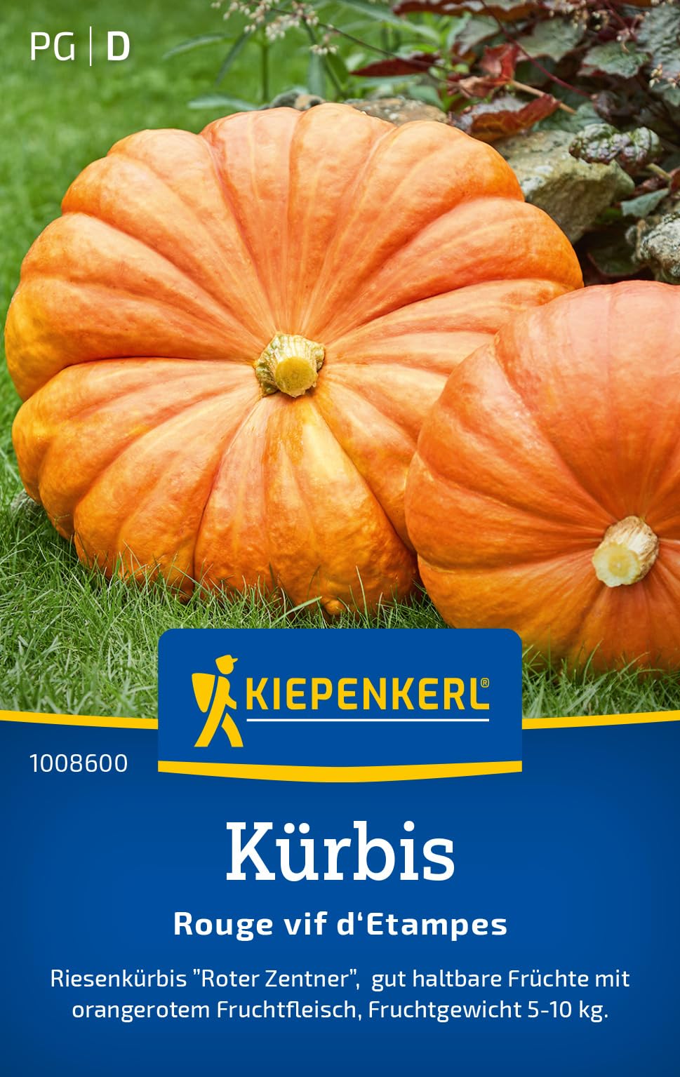 Kiepenkerl Kürbissamen Roter Zentner 1008600 - Riesenkürbis - haltbare Früchte - Fruchtgewicht 5-10 kg - Samen Gemüse, Gemüsesamen, Saatgut, Gemüsepflanzen