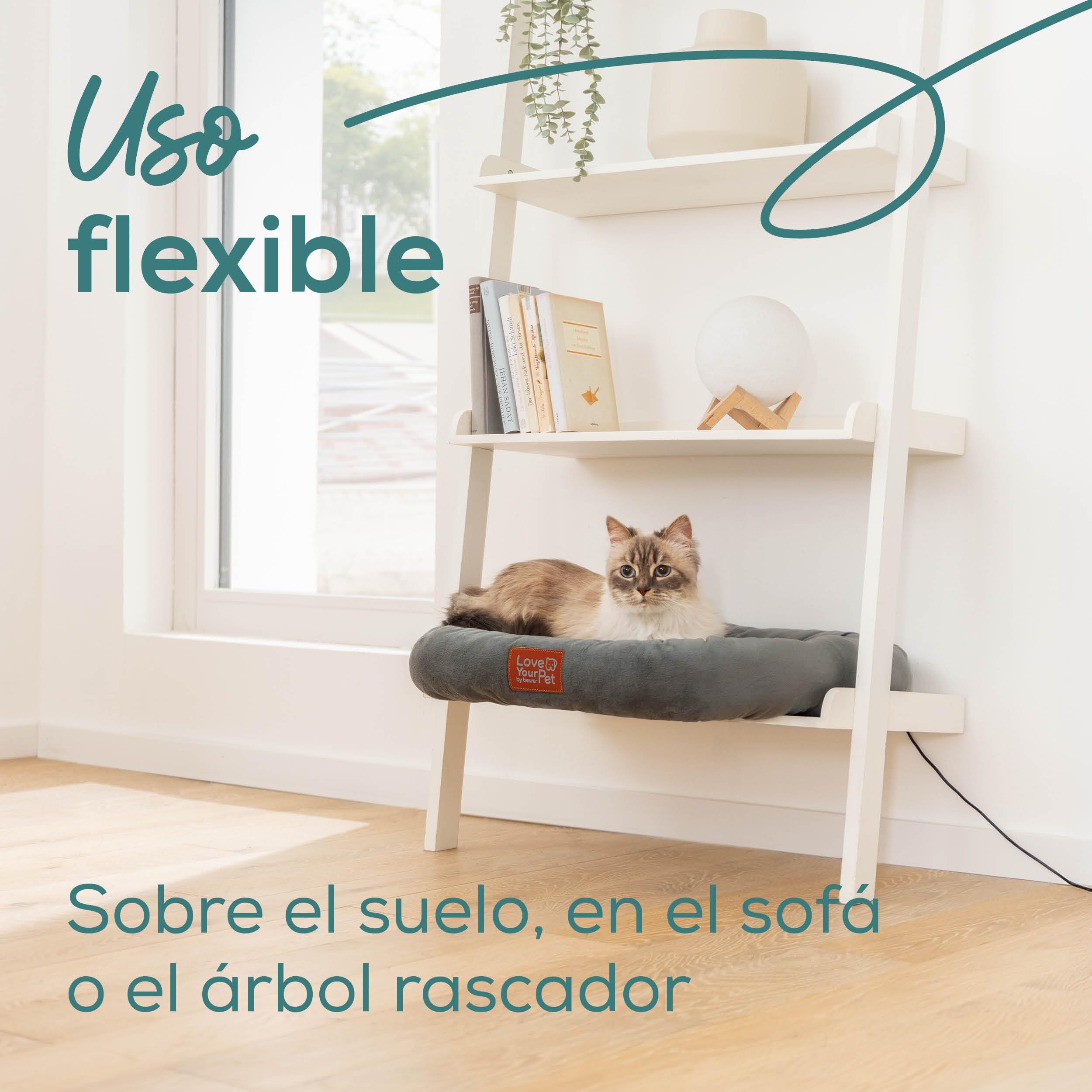 Beurer Love Your Pet Cama térmica «Kira» para Perros y Gatos, Cama para Perros con calefacción eléctrica y Temporizador, Lavable a 30 °C, Resistente a los arañazos y el Agua, 58 × 50 cm