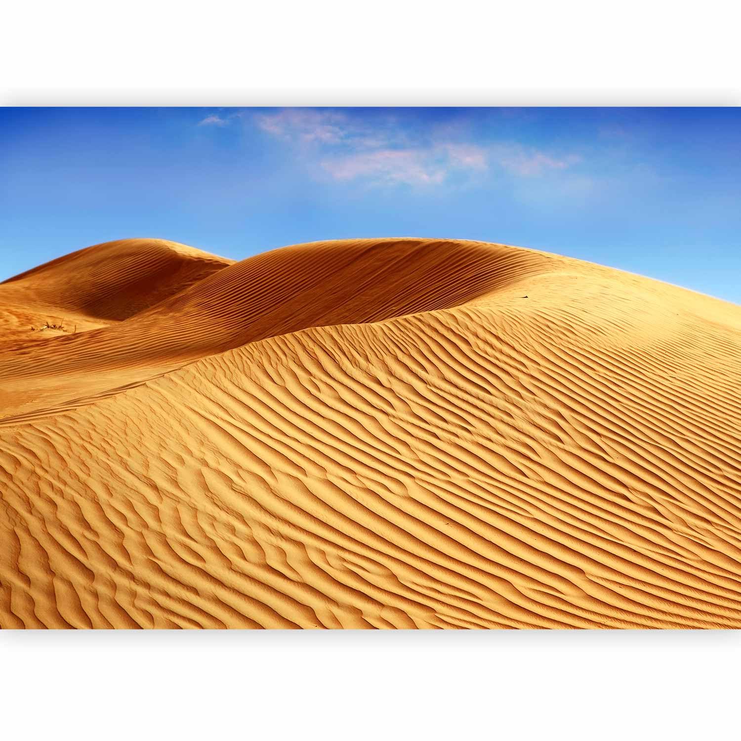 murando Photo Wallpaper Landscape 250x175 cm / 99"x69" — image 1