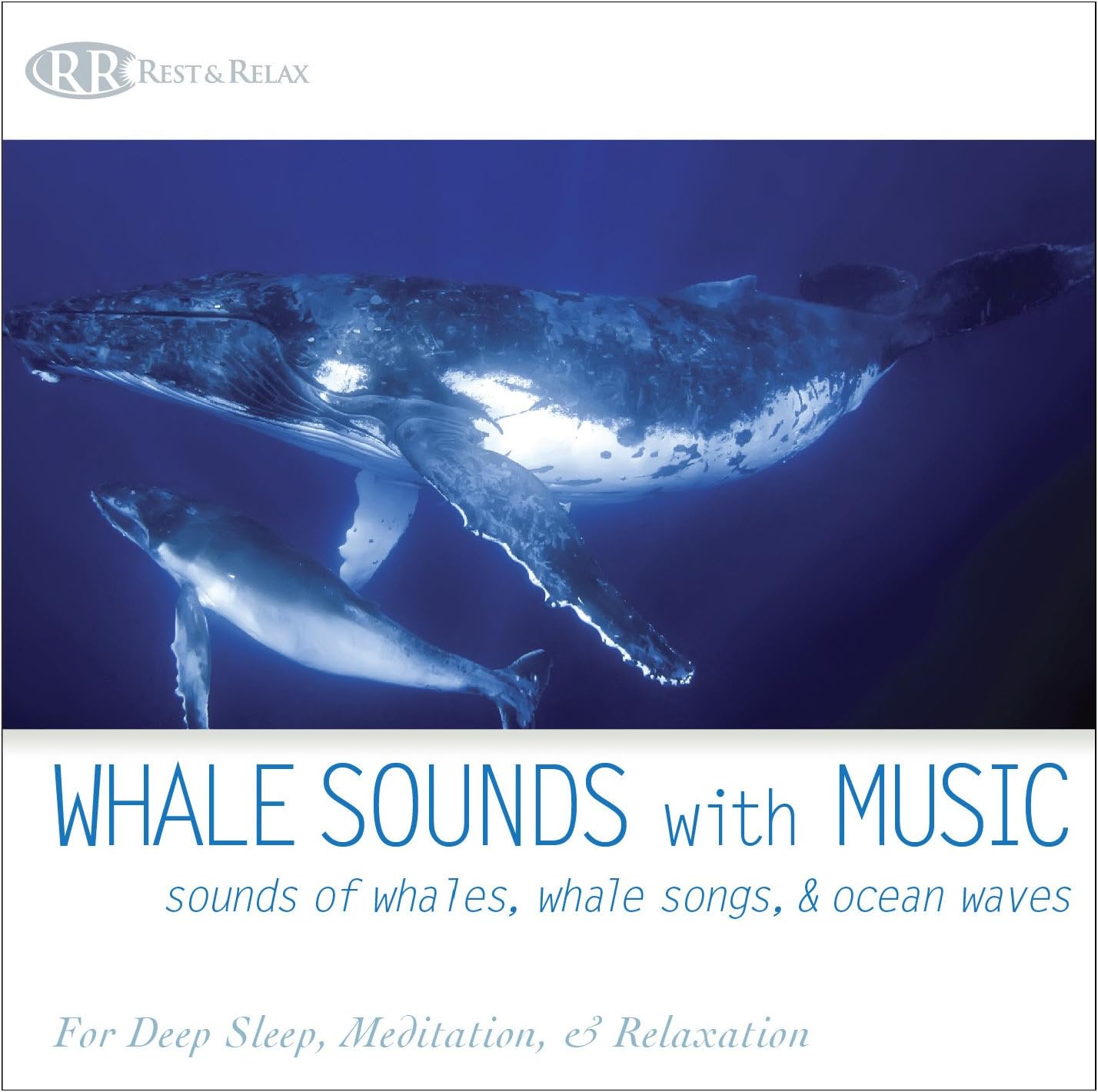 Whale Sounds With Music Sounds Of Whales Whale Bliss, Akim, Bliss