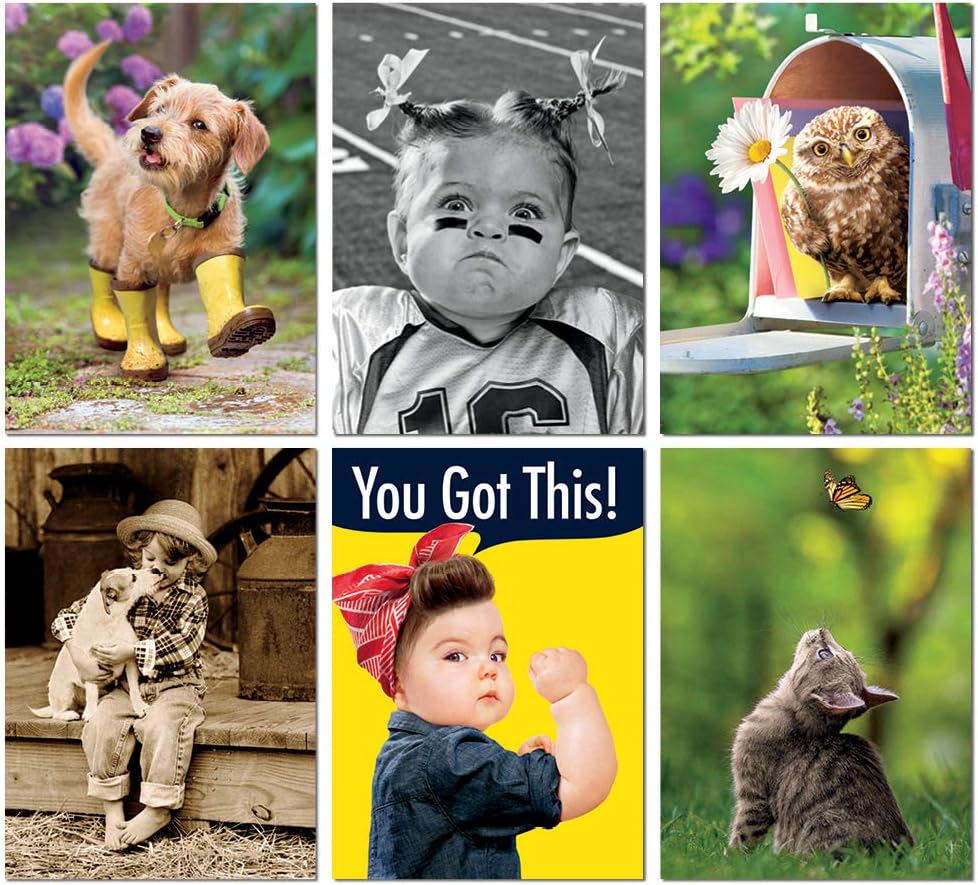 Avanti Thinking of You Greeting Card Variety Pack, 6Count