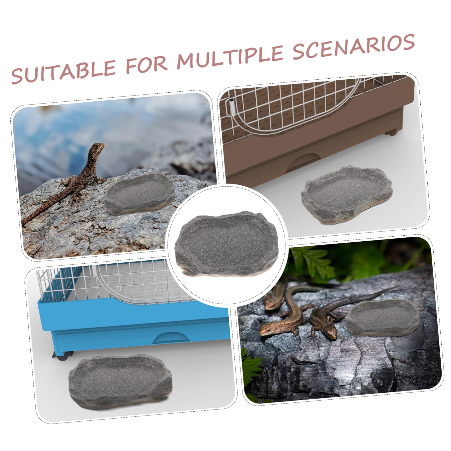INOOMP 4piezas Tazón De para Reptiles Plato Reutilizable Simulación para Alimentación De Pequeñas para y Animales