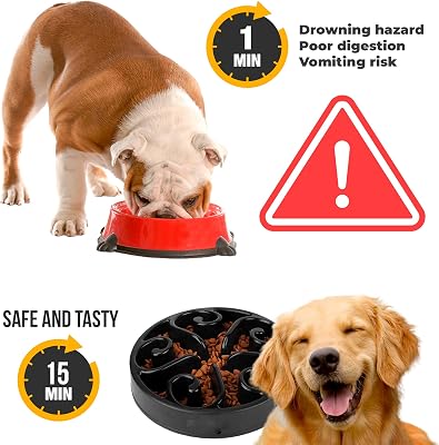 Edipets Maze Bowl 300 ml para cachorros de Beagle