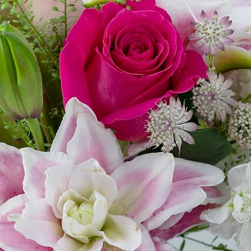 Miniatura 6 de KaBloom Flores - Colección Día de la Madre - Ramo de 12 rosas rosas rosas 5 estrellas lirio rosa con verdes exuberantes con florero.Regalo para