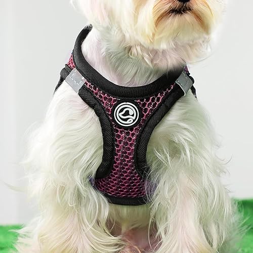 Miniatura 27 de Arnés suave para perro pequeño, extra pequeño, arnés de malla para cachorros, arnés ajustable reflectante sin tirones para perros pequeños y gatos