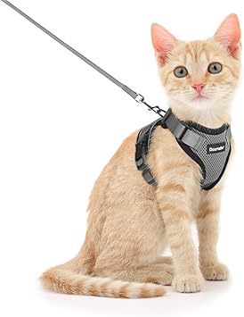 Amazon Dooradar 猫 ハーネス リード セット 3 7kg 小型犬 猫用 散歩 りーど はーねす 夏用 軽量 ソフト 胴輪 リード付き サイズ調節可 抜けにくい 安全 簡単装着 夜反射 通気性メッシュ Xs グレー Dooradar ペット用品 通販