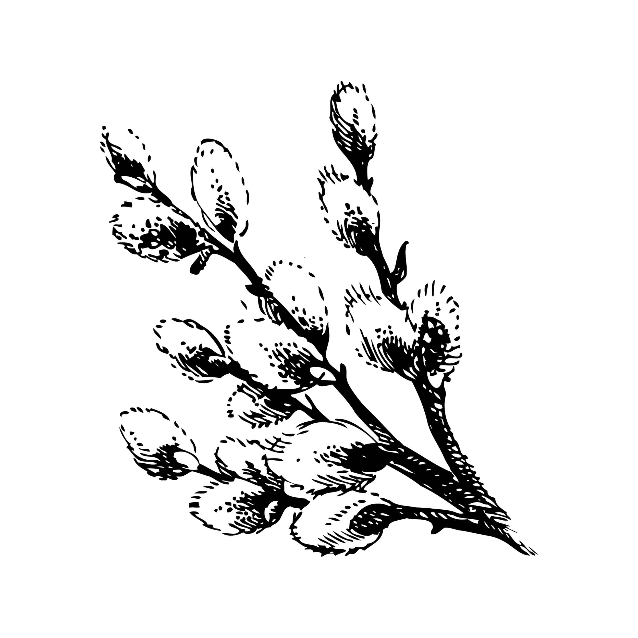 Tampons Encreurs Address | Logo Professionnel Moderne