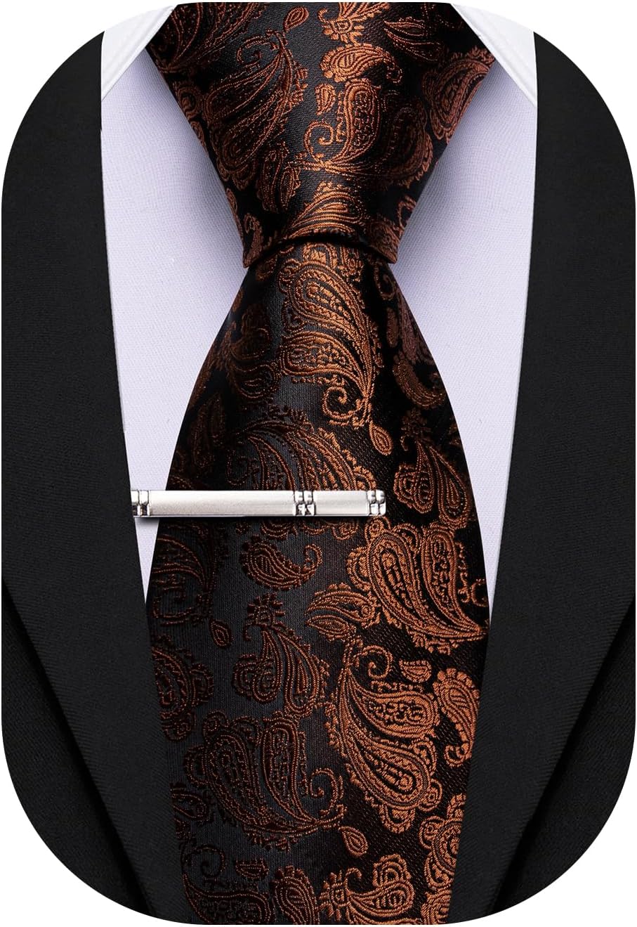 Barry.Wang Paisley Tie for Men Silk Woven Necktie and Tie Clip Set Wedding Party Business Formal
