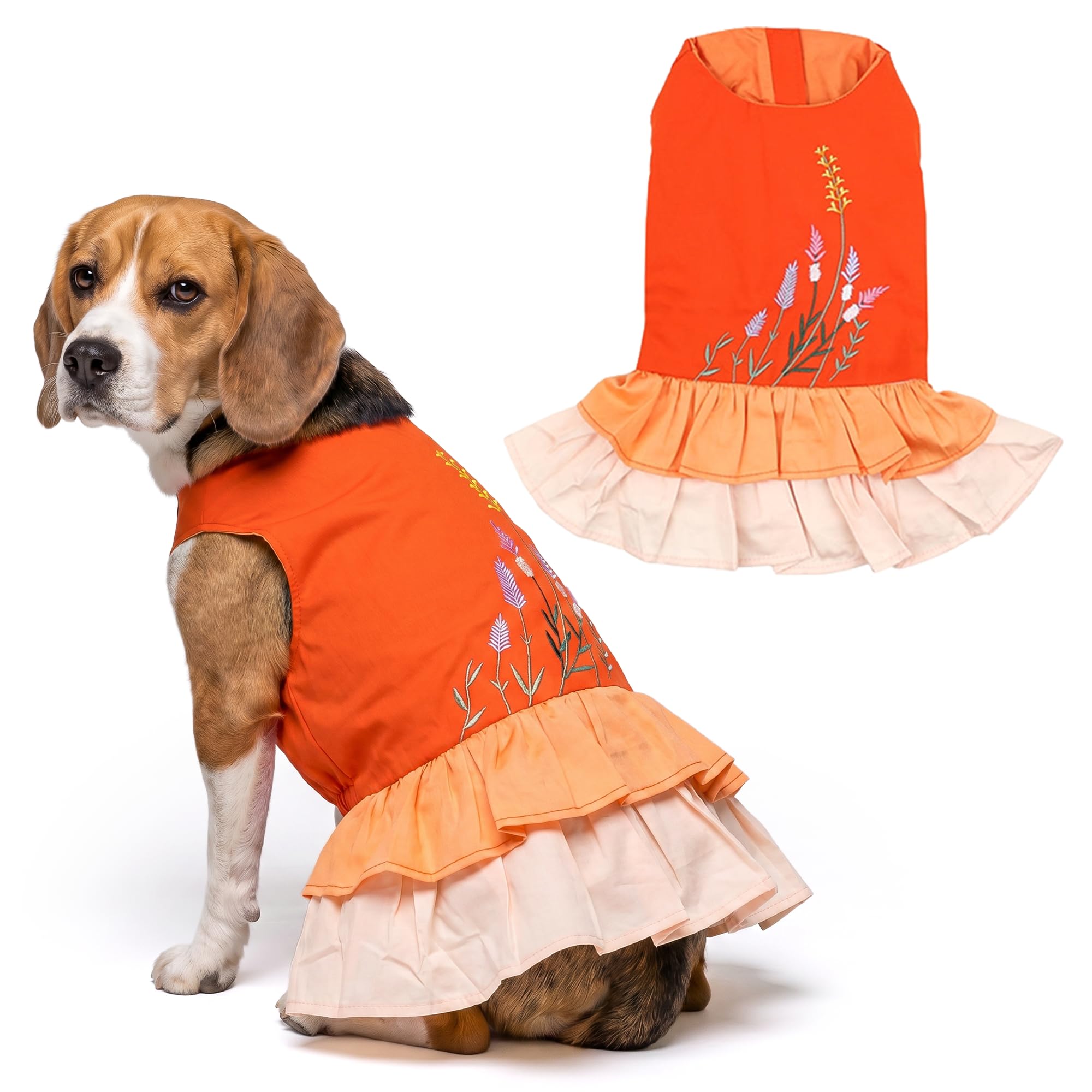 Robe parisienne pour chien motif bloc de couleur vêtement d'été léger 3XL