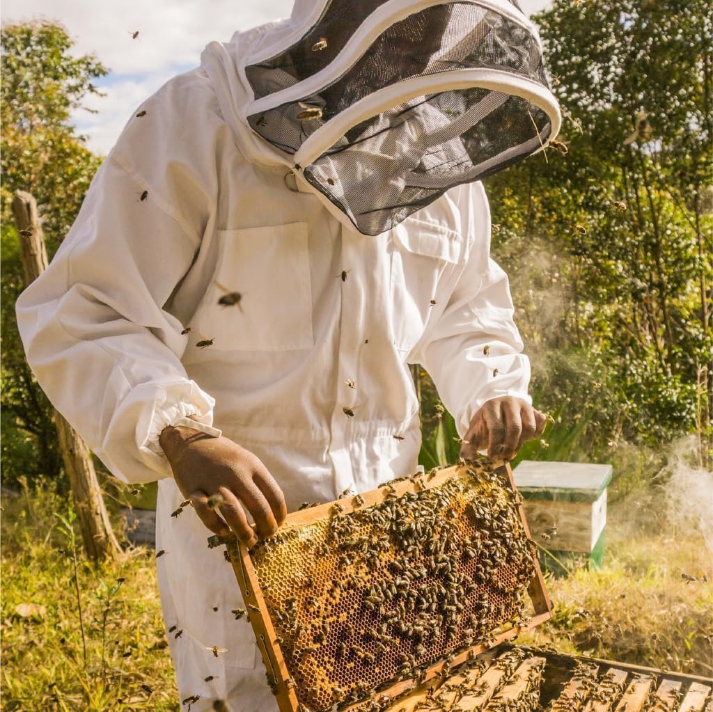 FAVO. 100% NATURALE, 100% SENZA ADDITIVI, 400G PURO E FRESCO - Direttamente dall'alveare.