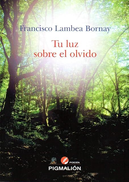 Portada de Tu Luz sobre el Olvido
