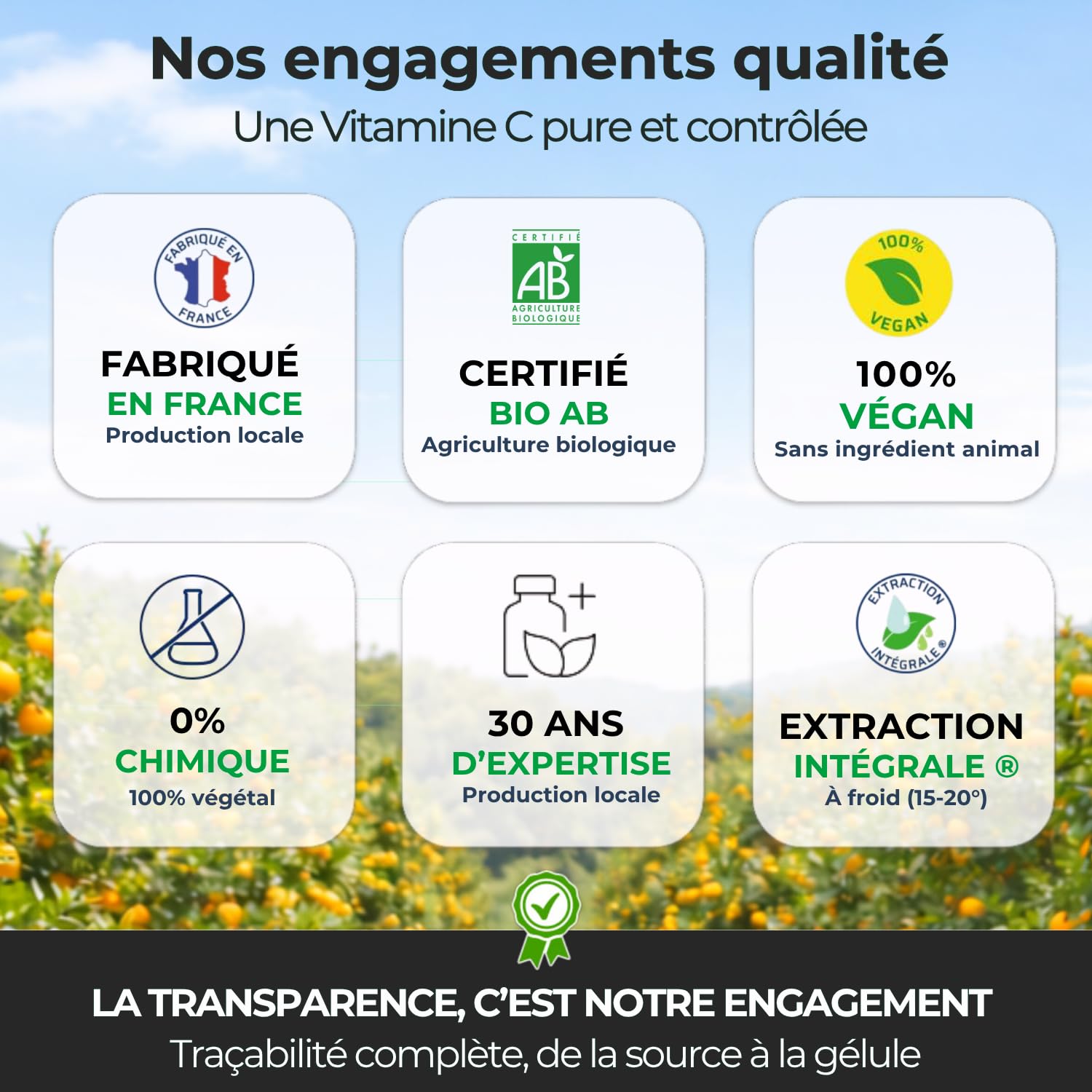 Biophénix Vitamine C Bio 100% Végétale 90 Gélules, Fatigue & Energie | Tonus et Vitalité, Procédé Exclusif Extraction Intégrale, 0% Excipient, 0% Additif, 0% Produit Chimique, Fabriqué en France