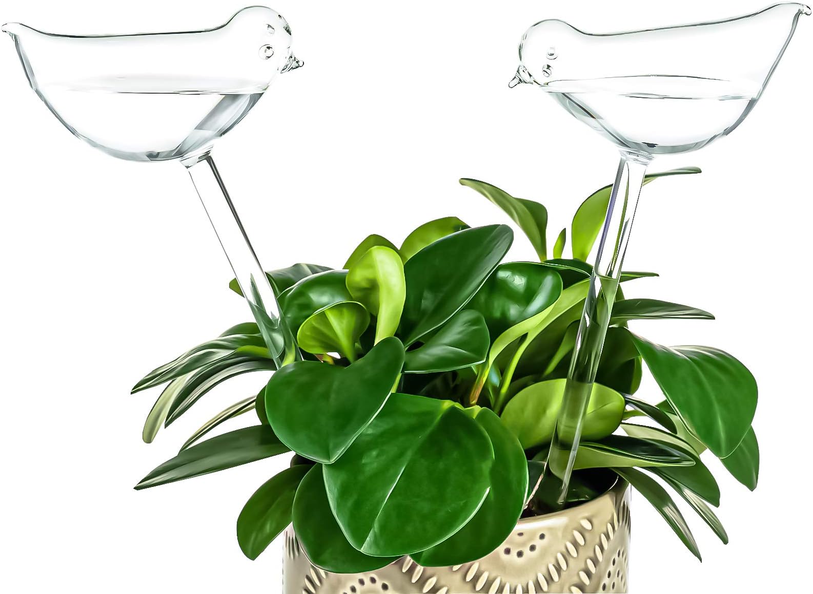 Kingbuy Self Watering Globes Plant Waterer Device Bird Shape Hand Blown Clear Glass Bulb for Indoor Outdoor Plants, 2 Pack