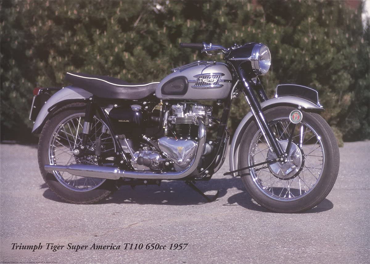 FORLAG HAKAN ERIKSSON Triumph Tiger Super America T110 650cc 1957 20" x 27.75" Poster Photography Neutral, Green Sports