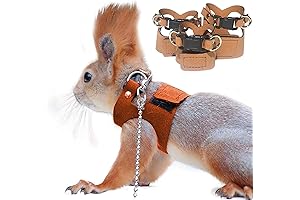 Adjustable Chinchilla Harness and Leash Set
