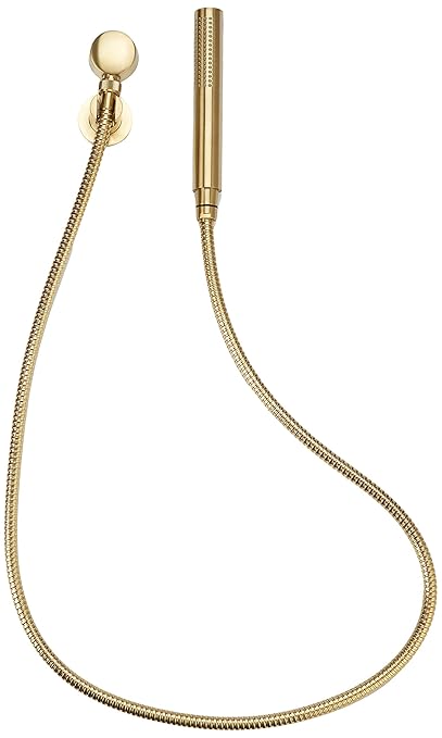 Pfister LG16-1NCBG Contempra 4-Piece Wallmount Handshower, Brushed Gold