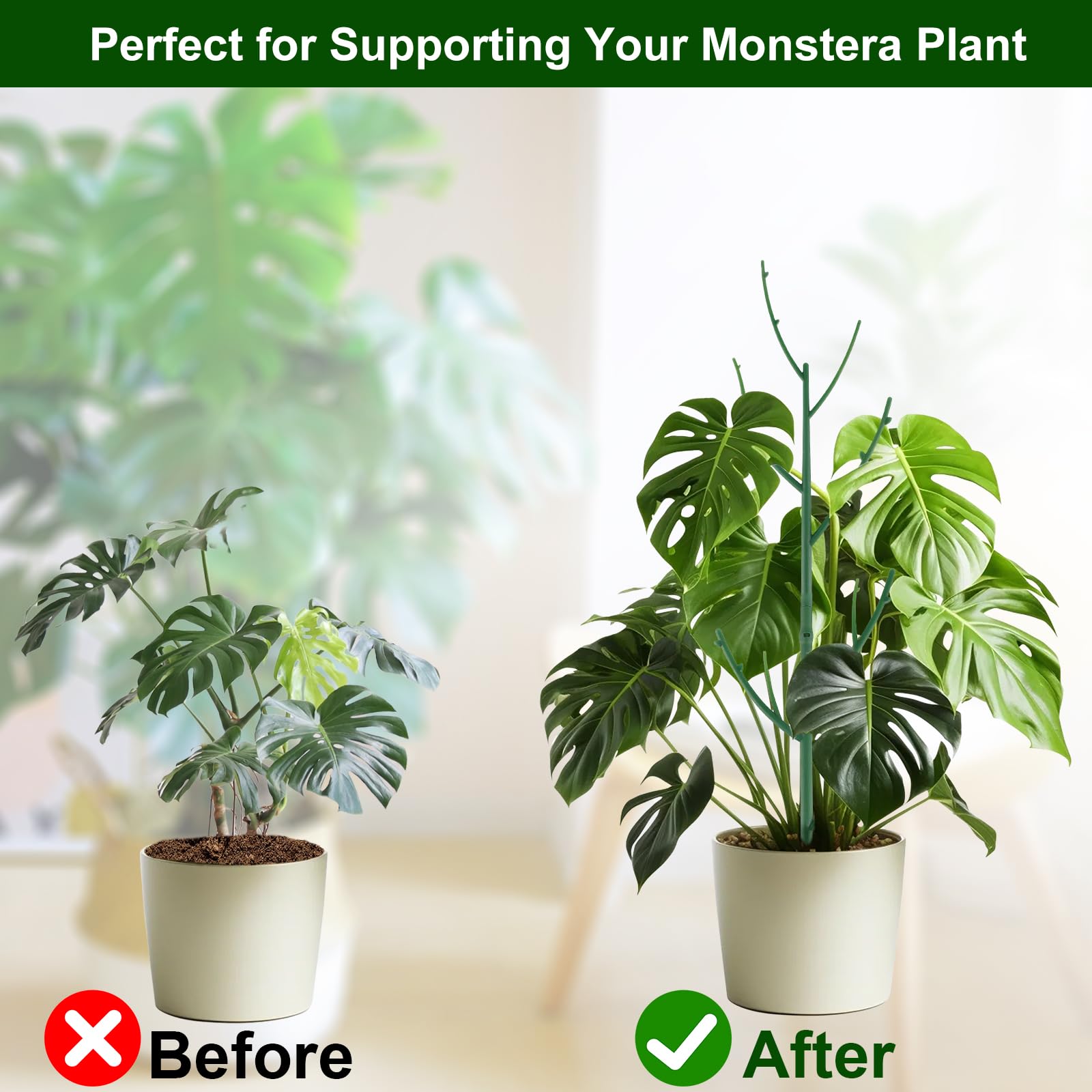 Amazon.com : 5 Pack Stackable Monstera Plant Support Stakes for Indoor &  Outdoor Plants, Garden Accessories for Climbing & Potted Plants, Plant  Sticks for Vine Training & Stem Stabilization : Patio, Lawn