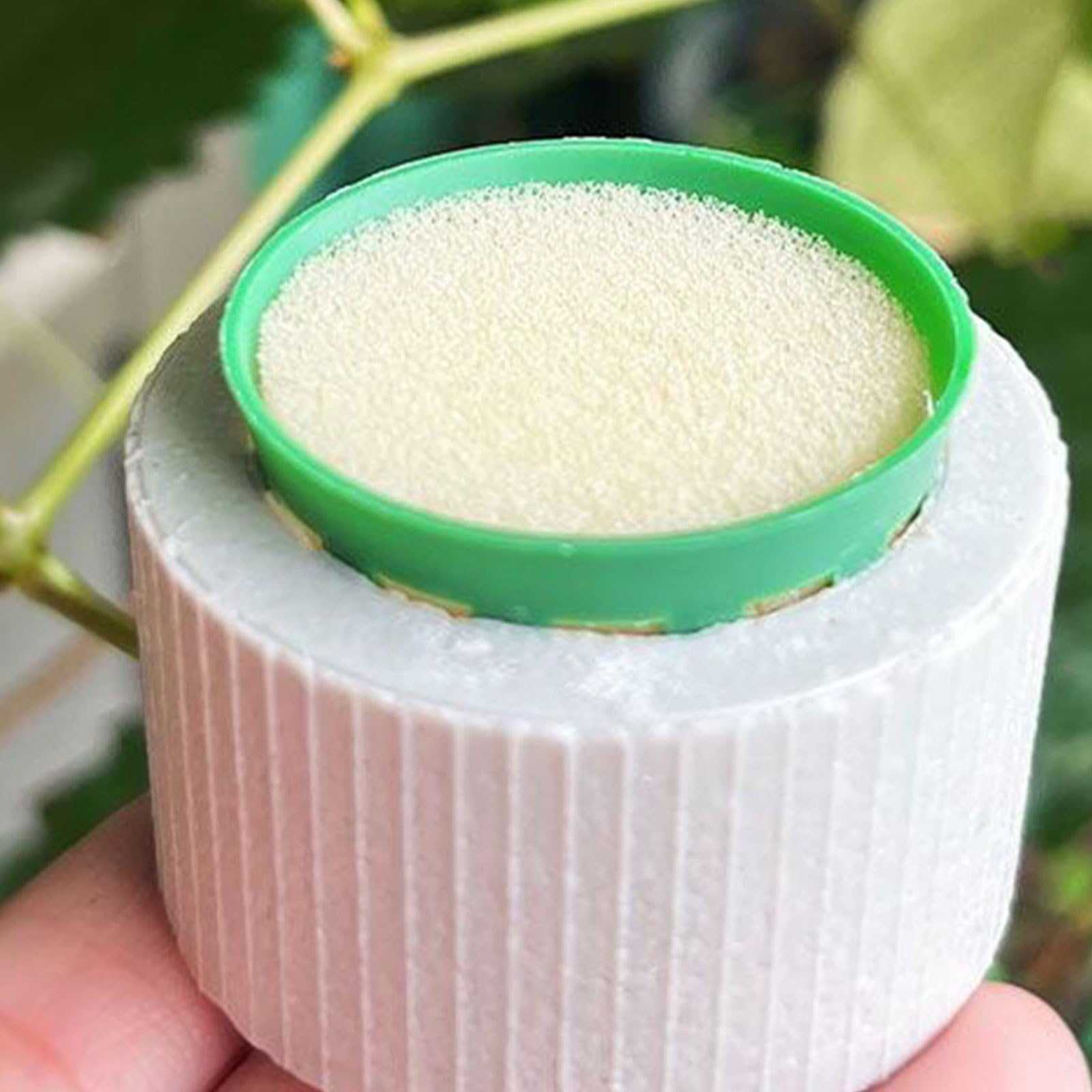 Di 30 Pesi Base Acquario Pianta Ceramica Sistemi di Ancoraggio con Supporto Spugna per Acqua Vegetazione Controllo Acqua Pianta Anelli di Fissaggio