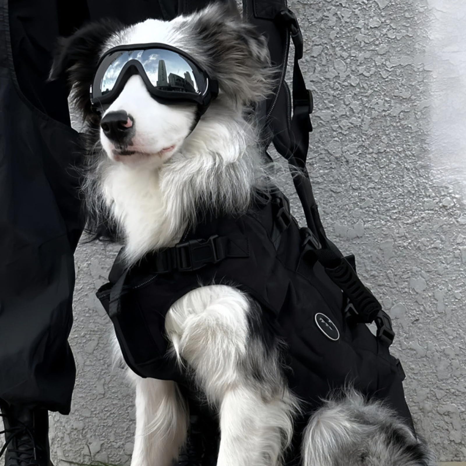 FOSDICK 2 Pcs Dog Goggles, Dog Sunglasses, Doggles Anti-UV Protection - Image 2